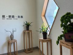 -苏州丝绸博物馆