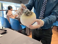-肆月河豚·新淮扬(金融街店)