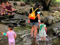 -成都市活水公园