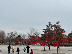 -圆明园停车场