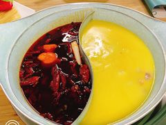 -青瓷火锅料理(西单大悦城店)