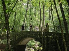 -牛背梁国家森林公园