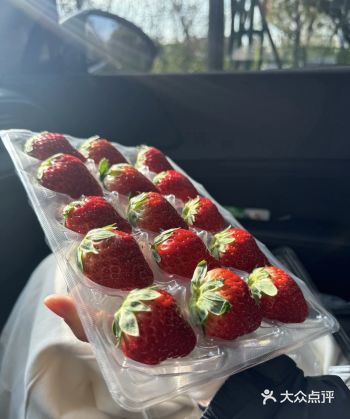 #城市向导官#外卖点可堂食餐厅的才靠谱真的很失望