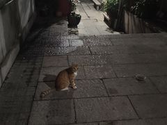 -荔湾湖公园
