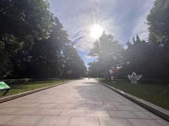 -宋庆龄陵园