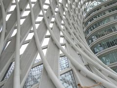 -凤凰中心