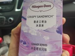 圆满臻萃月饼-哈根达斯(扬州瘦西湖店)