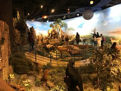 -陕西自然博物馆