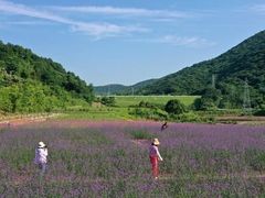 -白沙门生态公园