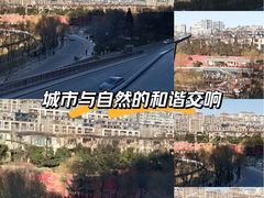 -西安曲江寒窑遗址公园