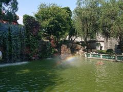 -碧江金楼