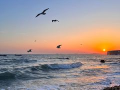 -银沙滩浴场