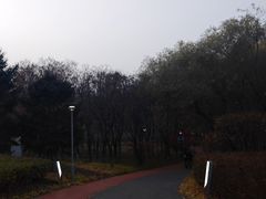 -大兴滨河森林公园