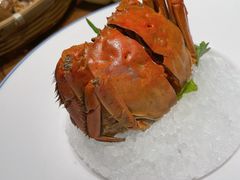 金牌熟醉蟹-黄龙海鲜大排档(杭州总店)