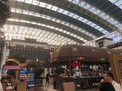 -拉萨圣地天堂洲际大饭店-自助餐厅