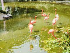 -常州淹城野生动物世界