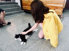 -阿尔谢尼耶夫远东历史博物馆(阿尔谢尼耶夫滨海区店)