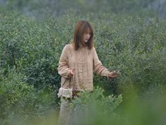 -金谷域澳洲庄园