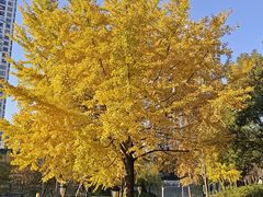 -苏州河梦清园环保主题公园