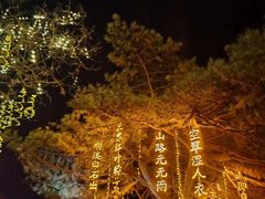 -万泉公园