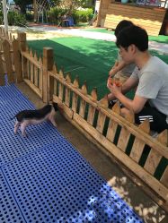 -萌宠亲子动物乐园(槐房万达店)