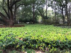 -徐家汇源景区-衡山公园