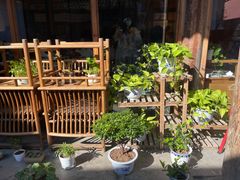 -故宫冰窖餐厅