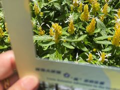 -广州花园酒店