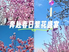 -堤角公园