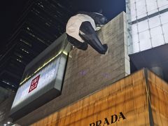 -老码头火锅(骡马市店)