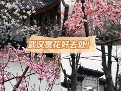 -堤角公园
