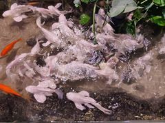 -正佳雨林生态植物园