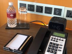 -新加坡文华东方酒店