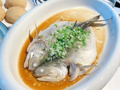 -禧宴Joyous Restaurant(禧园店)