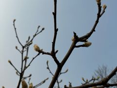 -白塘生态植物园