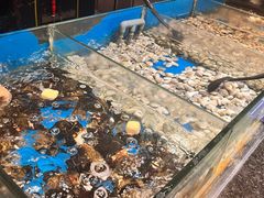 -钱小奴创意自助餐厅·原切谷饲安格斯畅吃(宁波奉化银泰店)