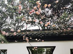 -浮庄