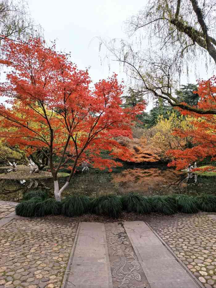 柳浪闻莺公园