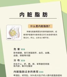 -Lily纤美·科技减脂中心