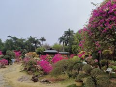 -盈香心动乐园