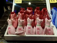 -猫咪博物馆(顶澳仔猫街店)
