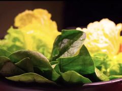 蔬菜大拼盘-井格重庆火锅(临平银泰城店)