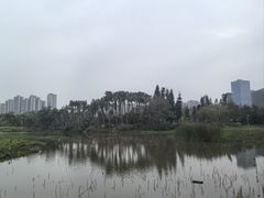 -中澳友谊花园