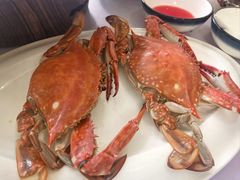 -日月昇渔家菜·海肠捞饭·大连海鲜(星海公园店)