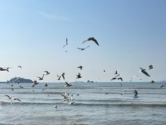 -青岛海滨风景区