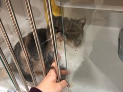 -1013 PET SHOP 宠物商店(近铁城市广场店)