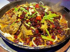 老板恋上鱼-老板恋上鱼(恒隆广场店)