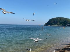 -棒棰岛宾馆景区