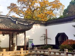 -上海醉白池公园