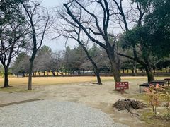 -水前寺成趣园